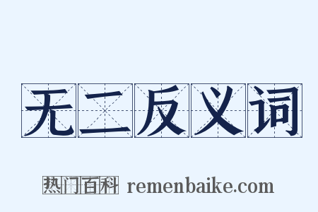 无二反义词是什么意思的图片